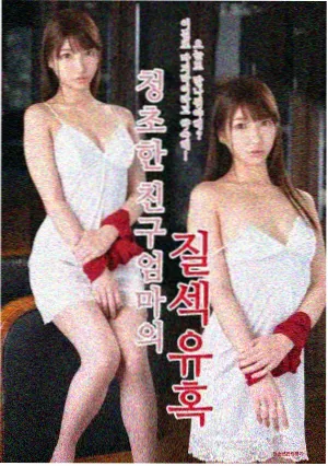 玫瑰的故事 - 免费看电视剧琪琪
